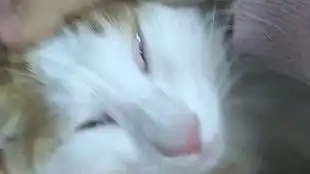 你体验过贴地倒飞么在死亡的边缘试探