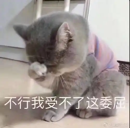 小可爱都在用的表情包