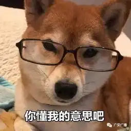 学霸速成等你来