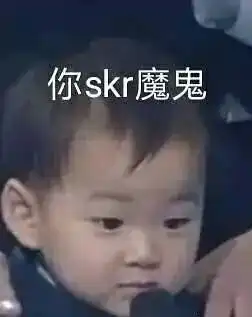 这到底skr什么意思