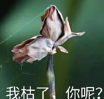 你是淡妆脸吗符合一点就是素颜女神,浓妆不如素颜好看