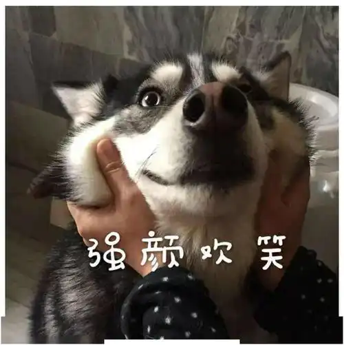 四六级考425分是什么水平对考研找工作有多大影响