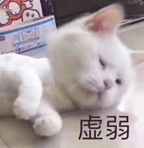 哈哈哈哈哈