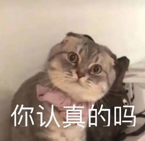 你的夏天,是什么味道的