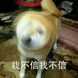柴犬表情包你再捏我脸我和你急