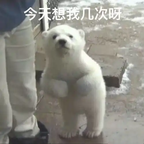 适合发给对象的沙雕表情包