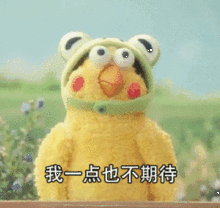 查分2019年中级会计职称考试成绩出来了