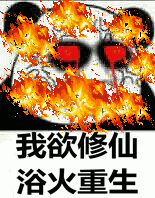抖音修仙熊猫表情大全