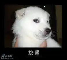 恋足癖的板油进女生慎入,免得自卑