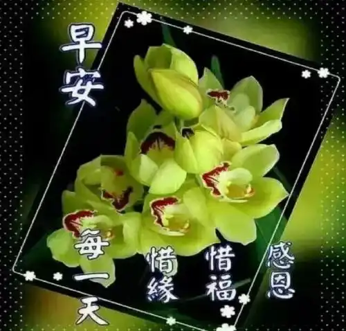 2021分享朋友圈分享多的早上表情包早上表情好