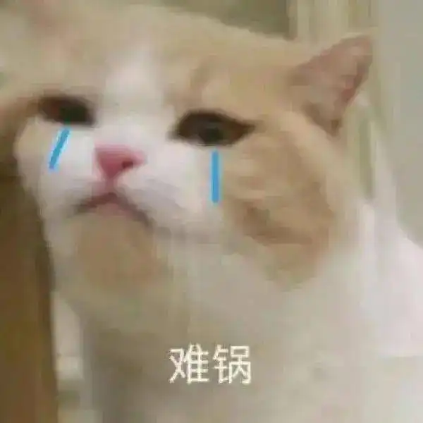 一起看笨蛋丨第147期喵表情