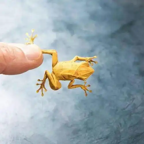 折纸艺术家有多强一张普通的纸,能变成任何动物