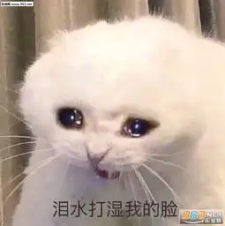 我很高贵男人没有机会表情包今年一定要发财民咕咕表情包下载乐游网游戏下载