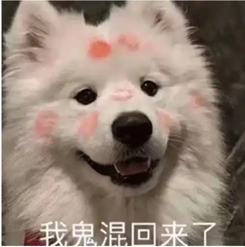 让好友和你聊天只是为了偷你的表情包的表情包