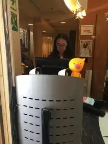 飞猪南极游航海日记嫉妒使我质壁分离内含福利