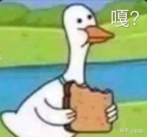 双胞胎姐妹高中了还一起洗澡出于什么心理