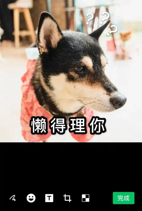 表情包大挑战特效在哪今日头条