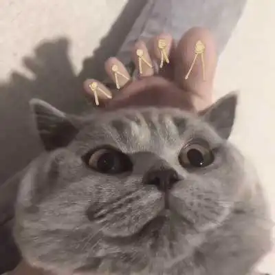 一左一右小猫情头可人头像