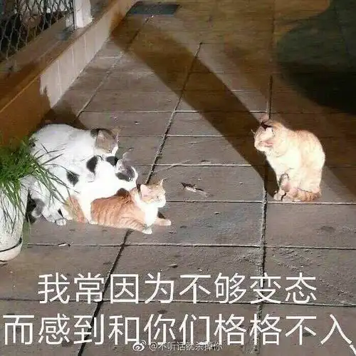 同事总是喜欢带东西给我,压力好大
