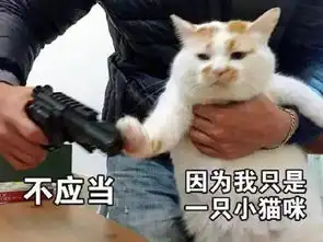 行业正发生创意丨这些猫咪主角广告,你不想来吸一波