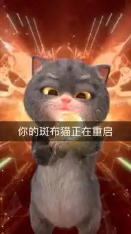 斑布猫的主页快手直播