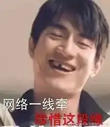 难洞大开用四个字为爱豆打call,竟造出一堆活成语