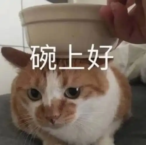 球咏第1话命运的重逢