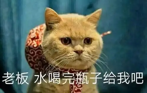 没有表情包,还聊什么天100张表情包,拿去