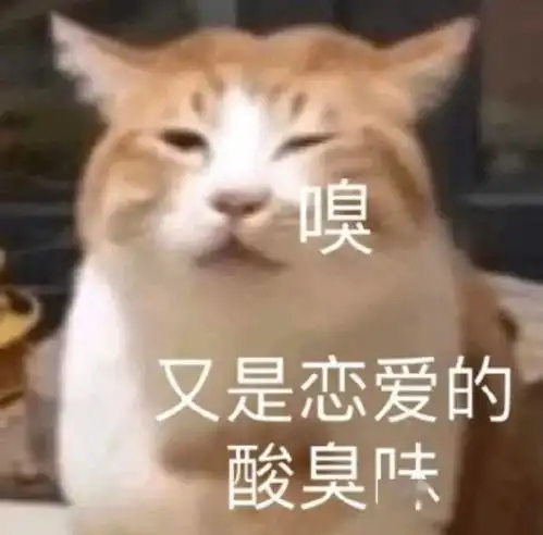 来点小可爱表情包