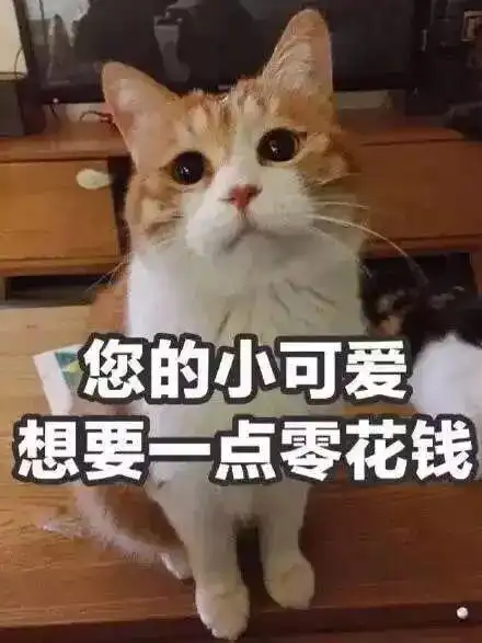对比下传统猫眼和智能猫眼之间的区别