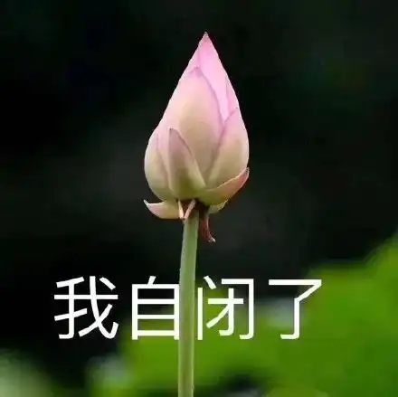 当代青年的真实描图我想开了,我自闭了