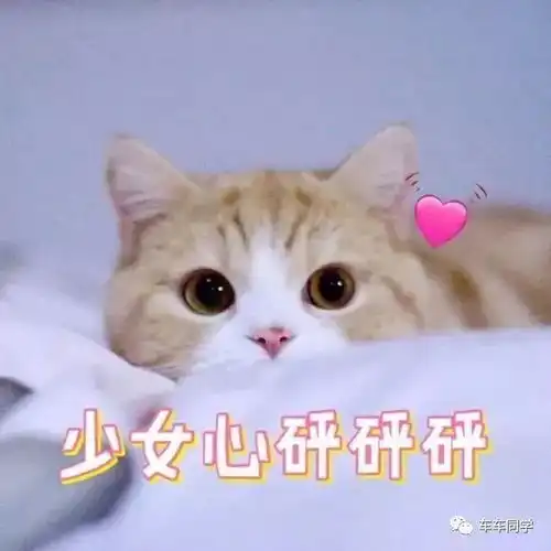 你的头像暴露了心理年龄小学初中高中大学你在哪一类