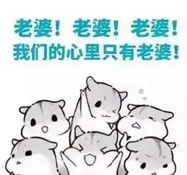 表情包丨世界上没有怕老婆的男人,只有爱老婆的男人