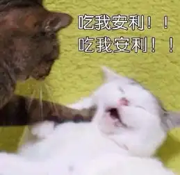 长得好看便宜还不费油,这下满意了吧