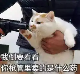 当心猫抓病阿婆因吸猫高烧39,腋下冒肿块