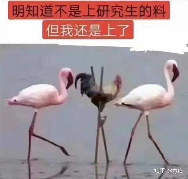 哈尔滨工程大学