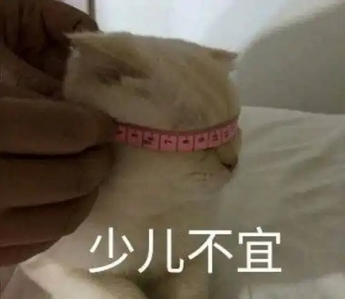 萌宠表情包说什么爱情