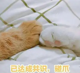 我读了看见