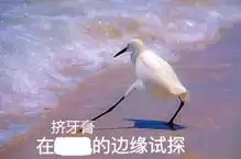 确认过眼神2018diy和流行语竟不谋而合