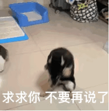 聊天吗我不偷你表情包了