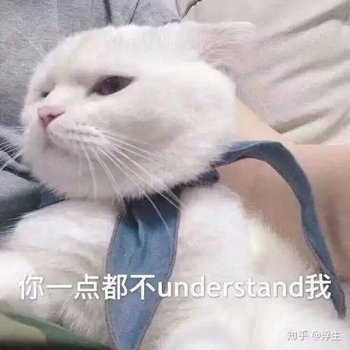 王思聪为什么那么讨厌鞠婧祎