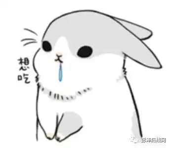 什么彭泽人的龙虾艺术节你确定不来了解一下吗
