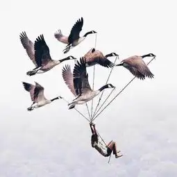 鱼悦垂钓俱乐部