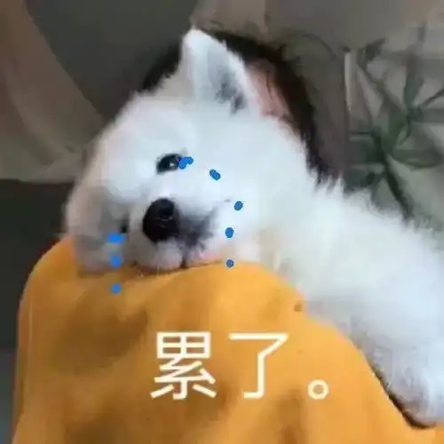 沙雕表情包亲亲就不难过了哦