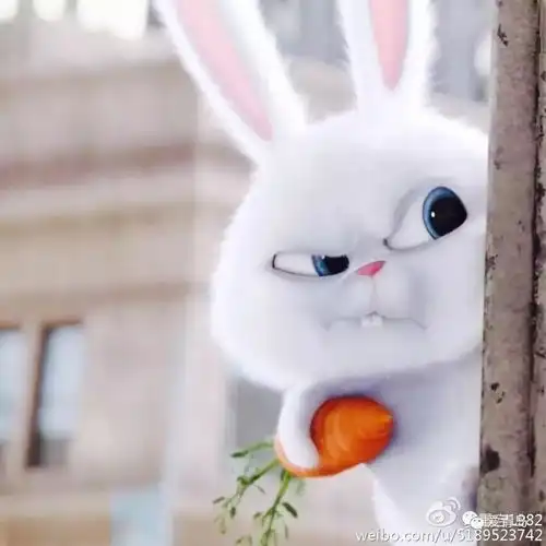 逗萌爆表的走心动画