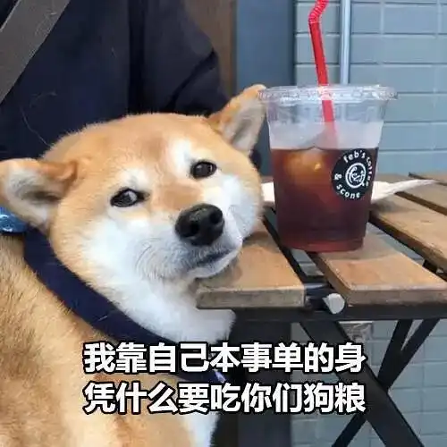 跪求有意思的舔狗日记