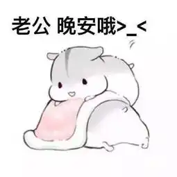 仓鼠叫老公的表情包