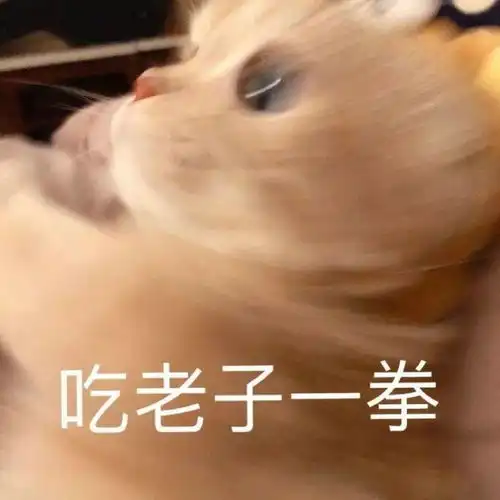 沙雕表情包洗好澡等老公