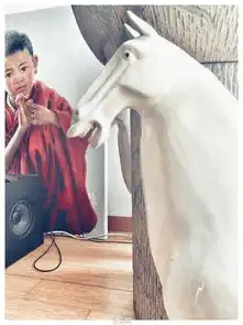 盘点娱乐圈的土豪明星们喜欢收藏啥
