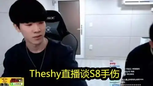 theshy直播谈s8手伤事件,我差一点打不了比赛,但管理层不让我说